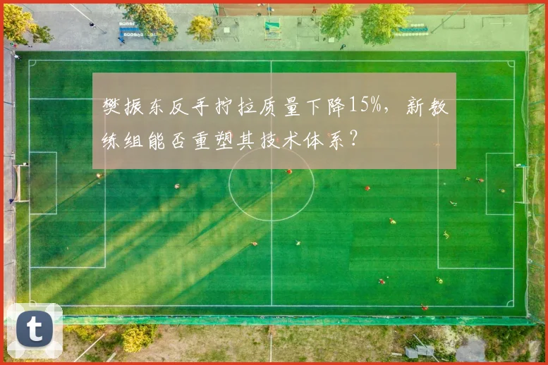 樊振东反手拧拉质量下降15%，新教练组能否重塑其技术体系？