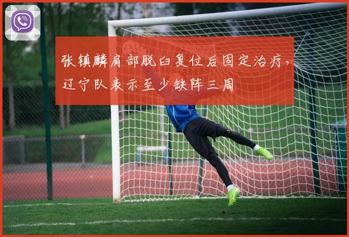 张镇麟肩部脱臼复位后固定治疗，辽宁队表示至少缺阵三周