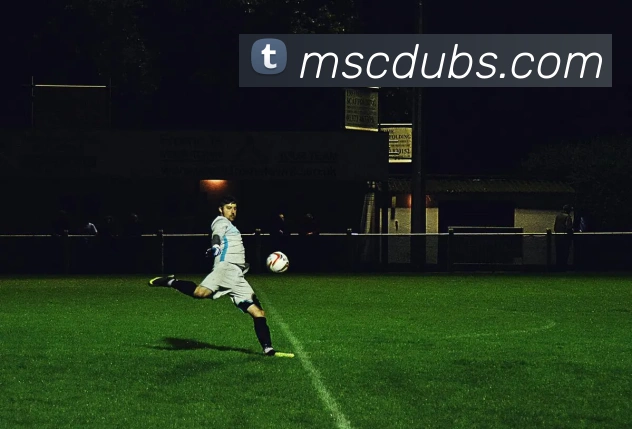 乐鱼官方网站品牌故事